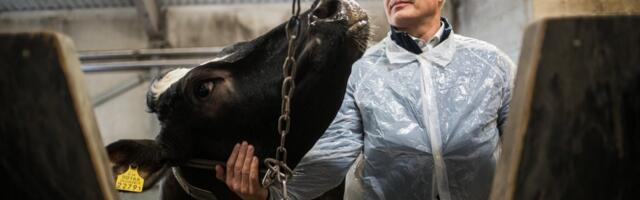 Полиция подозревает директора института ветеринарной медицины в нарушении требований госзакупок