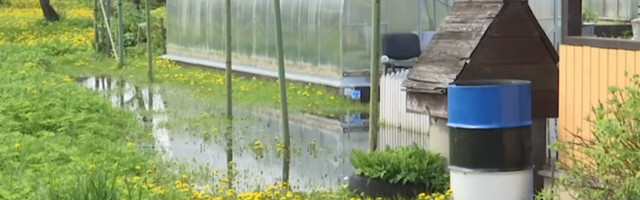 Проблемы с затоплением садов Нарва планирует решать комплексно