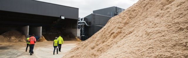 Лукашенко призвал использовать опилки в качестве топлива