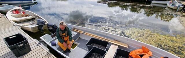 Государство отказывается от финансирования программы по зарыблению угрем четырех эстонских озер