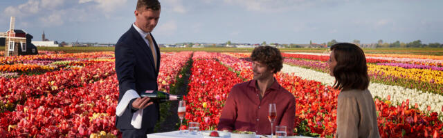 В Амстердаме запустили вертолётные туры над тюльпанами с пикником в поле