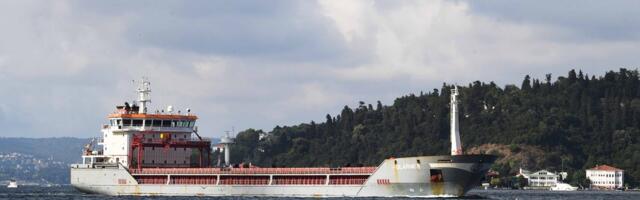 Москва объявила о „фактическом прекращении“ зерновой сделки