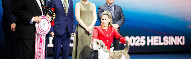 В Хельсинки выбрали самую красивую в мире собаку