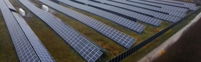 "Очевидец": грязные приемы и чистая энергия, волчий билет в политике, театральный бум в Нарве