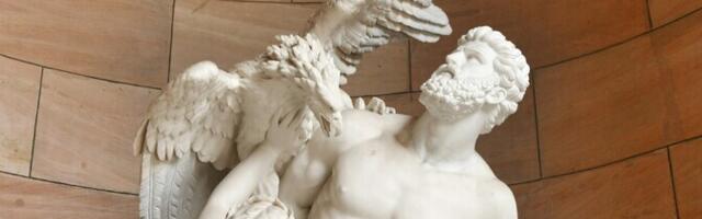 Представление о полном обновлении организма за семь лет – миф