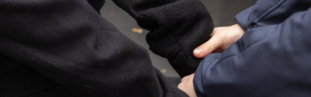 В Германии мужчина с пиротехникой напал на пассажиров поезда 