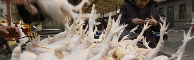 Россия запретила ввоз живой птицы и птицеводческой продукции из Эстонии