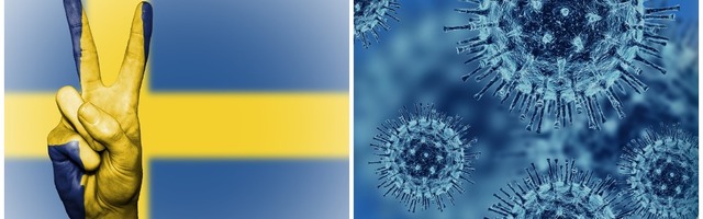 «Закрытие границ — это бесполезное занятие». «Запретить людям выходить на улицу? Это глупость». Советник правительства Швеции: есть только две меры по борьбе с вирусом