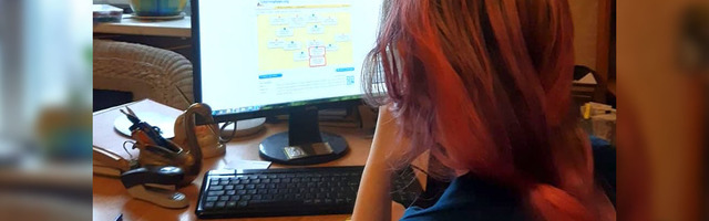 Домашнее обучение-мучение в Эстонии