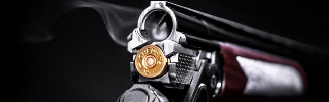 Владение оружием после 15 марта будет незаконным для граждан РФ и РБ