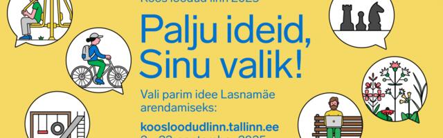 На голосовании по народному бюджету в Ласнамяэ можно сделать выбор среди 14 идей