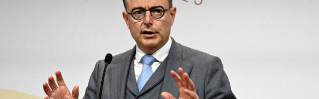 Бельгия: страны ЕС должны разделить риски при использовании замороженных активов РФ