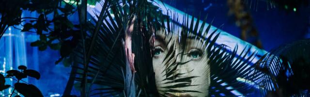 «Ночь музеев» 2025 в Эстонии: 29 мест, где точно не будет скучно