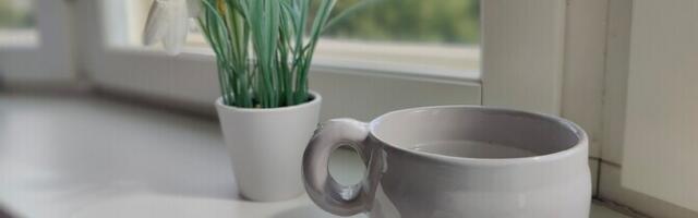 Вода из родников Рийгикюла и Югла опасна для питья – анализ выявил превышение нормы бактерий