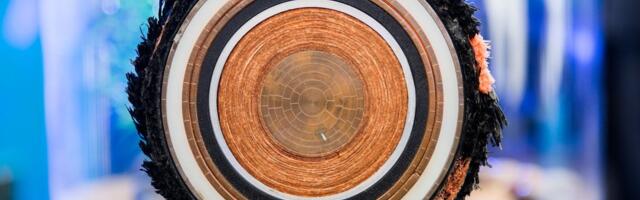 Электросоединения EstLink между Эстонией и Финляндией ненадолго вышли из строя