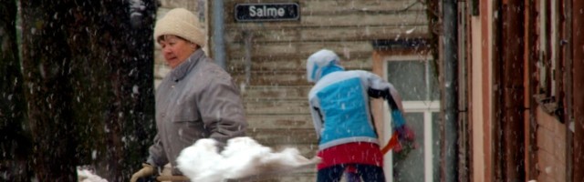 Тарту поблагодарит усердных уборщиков снега