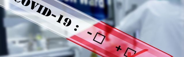 За последние сутки добавилось 11 положительных результатов тестов на COVID-19