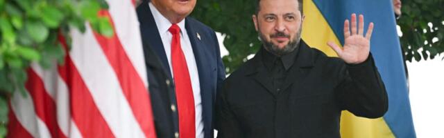 Встреча Украины и США: европейские лидеры поддержали Зеленского