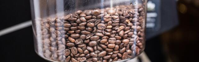 Цены на кофе снова растут. В чем причина?