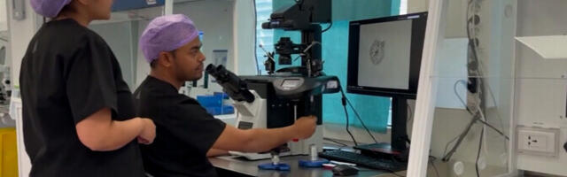 Датский донор спермы с онкогенной мутацией стал отцом 197 детей по всей Европе