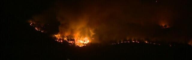 Европа охвачена лесными пожарами: Германия, Греция и Турция борются с огнем