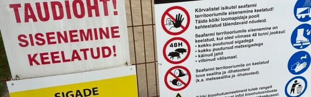 Правительство выделит из резерва более 3 млн евро на борьбу с африканской чумой свиней