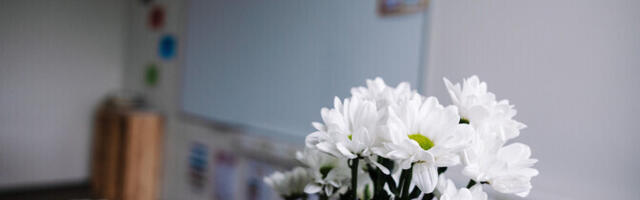 Власти Таллина инициируют проверку решений предыдущей администрации по школьным инвестициям