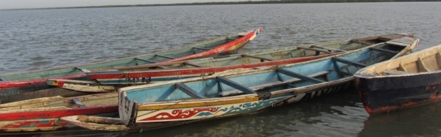 В Сенегале около 200 рыбаков заразились неизвестной болезнью