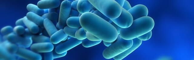 В Литве зафиксирована вспышка легионеллеза