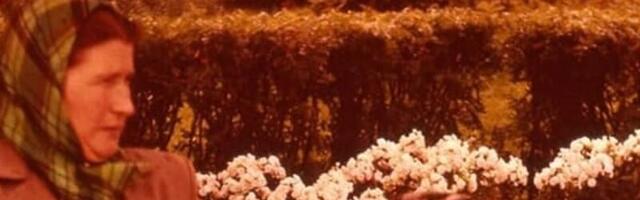 Правда ли, что на фотографии — доктора наук Хельга фон Траушенберг и Мария Сумарокова–Эльстон?