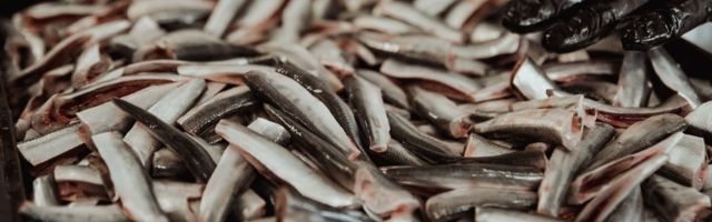 Предприятия рыбопереработки cмогут получить частичную компенсацию потерь из-за rкоронавируса