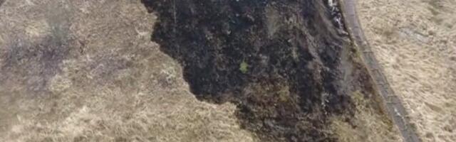 В Ида-Вирумаа спасатели за сутки ликвидировали серию крупных возгораний прошлогодней травы