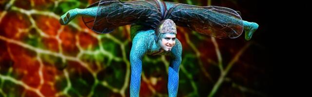 В Таллинне выступит Cirque du Soleil, и вот 6 интересных фактов о цирке, которые нужно знать