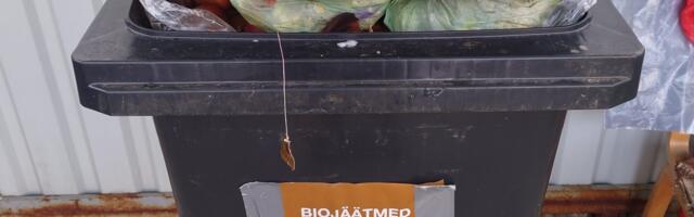 Биоотходы теперь можно вывозить дважды в неделю