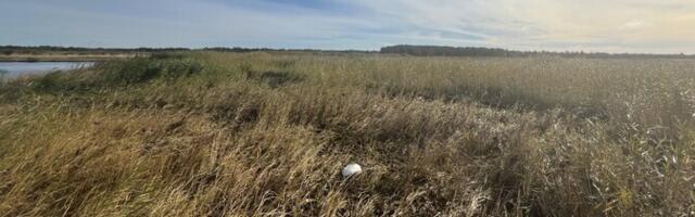 В Пярнуском уезде найден обломок дрона