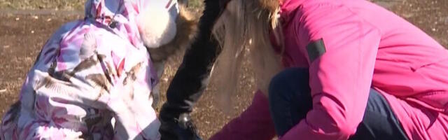 Украинцы провели большую уборку у Горхолла в Таллинне в знак благодарности Эстонии