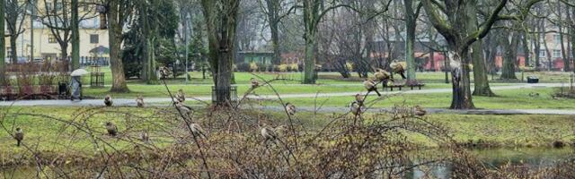 На предстоящей неделе погода в Латвии не поменяется