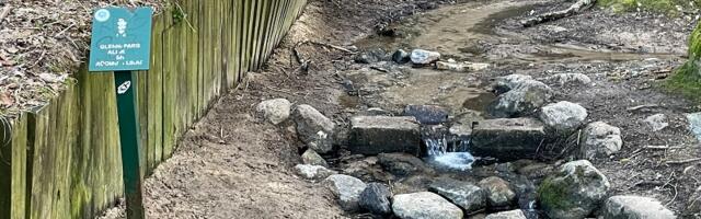 При необходимости в Таллинне можно употреблять родниковую воду