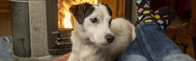 ГРАФИКИ | Цены на электроэнергию и газ в Европе: где дороже всего?