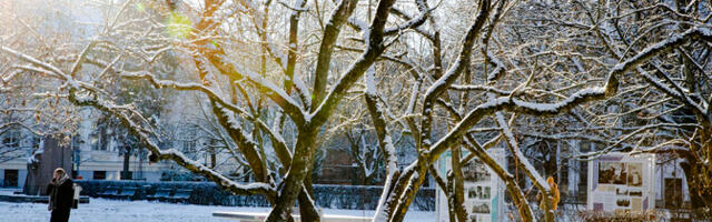 Научный сотрудник: температура к началу февраля может опуститься до -30 градусов