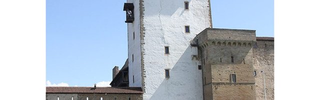 2020: приметы ушедшего года