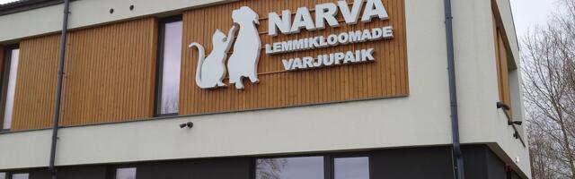 Первые обитатели городского приюта для животных нашли хозяев