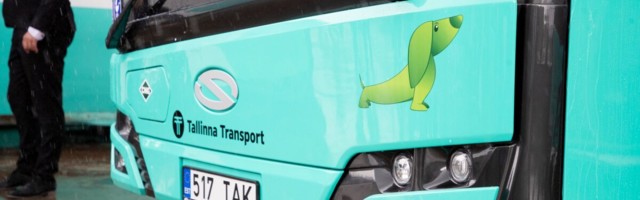 TLT планирует запустить в Таллинне водородные автобусы
