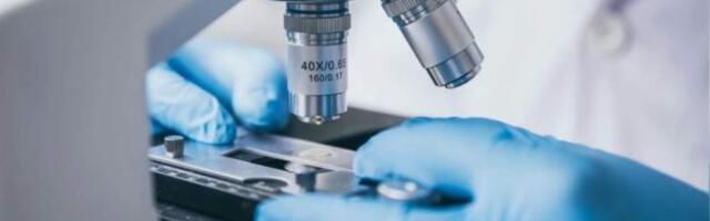 Российский школьник случайно совершил научное открытие