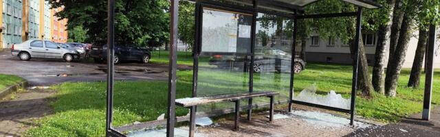 Вице-мэр Раймонд Тамм: «Это – вандализм»