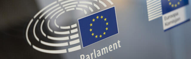 Мадизе: Конституция не препятствует снижению возрастного ценза на выборах в Европарламент