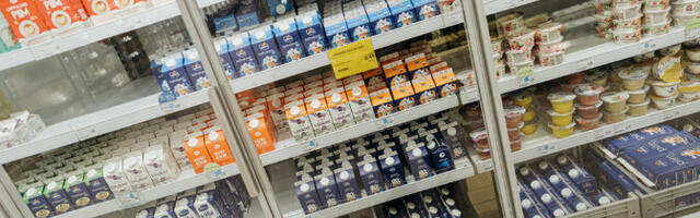 Профессор нутрициологии: популярность протеиновых пудингов – результат маркетинга