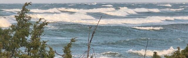 Синоптики прогнозируют сильный ветер и мокрый снег