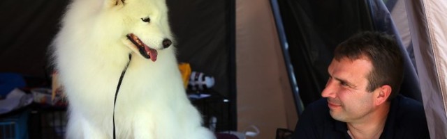 Собачья выставка в Нарве не состоится: 500 человек в одном помещении — слишком опасно. Организатор потерял десятки тысяч евро