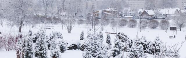 В ближайшие дни в Эстонии сохранится морозная погода